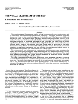 THE VISUAL CLAUSTRUM of the CAT I. Structure and Connections'