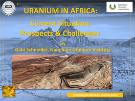 URANIUM in AFRICA: Current Situation, Prospects & Challenges