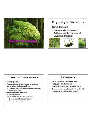 Bryophyte Divisions • Three Divisions –Hepatophyta (Liverworts) –Anthocerophyta (Hornworts) –Bryophyta (Mosses)