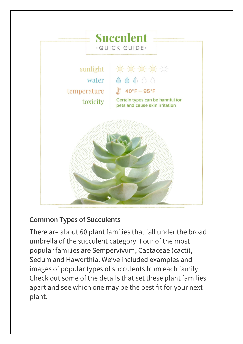 Common Types of Succulents There Are About 60 Plant Families That Fall Under the Broad Umbrella of the Succulent Category