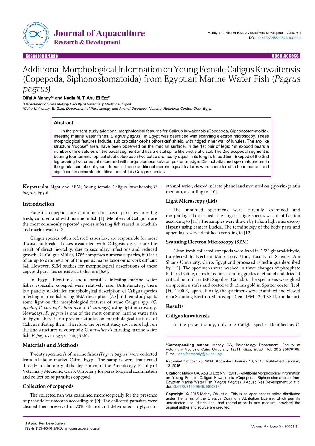 Additional Morphological Information on Young Female Caligus