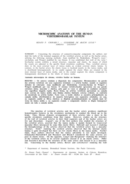 Microscopic Anatomy of the Human Vertebro-Basilar System