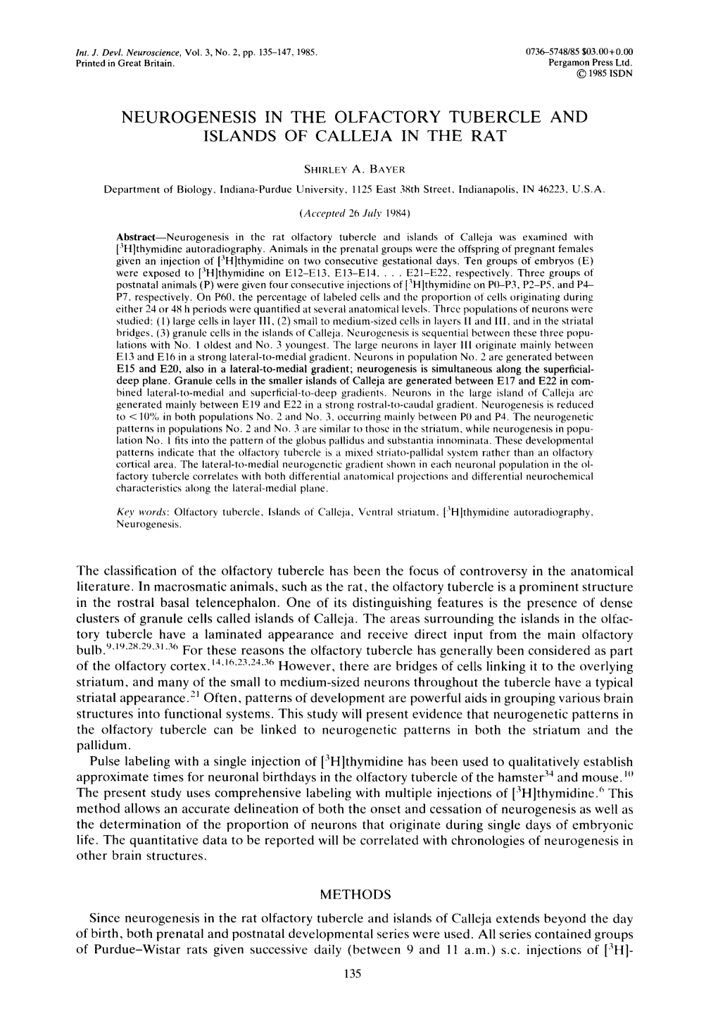 Neurogenesis in the Olfactory Tubercle and Islands of Calleja in the Rat