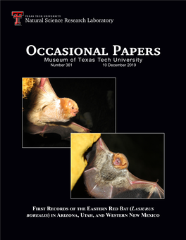 First Records of the Eastern Red Bat (Lasiurus Borealis)