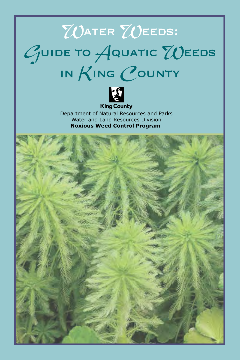 Water Weeds: Guide to Aquatic Weeds in King County