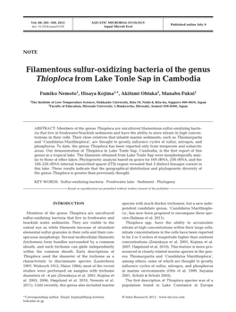 Filamentous Sulfur-Oxidizing Bacteria of the Genus Thioploca from Lake Tonle Sap in Cambodia