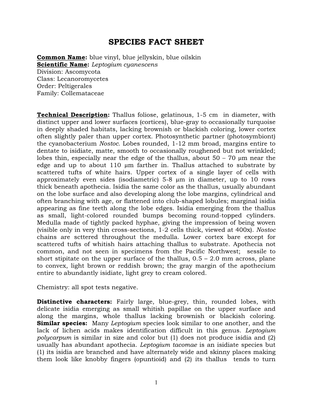 Leptogium Cyanescens Species Fact Sheet