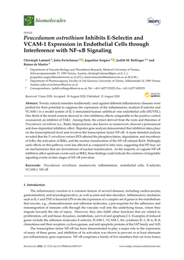 Peucedanum Ostruthium Inhibits E-Selectin and VCAM-1 Expression in Endothelial Cells Through Interference with NF-Κb Signaling