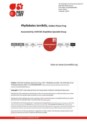 Phyllobates Terribilis, Golden Poison Frog