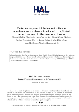 Defective Response Inhibition and Collicular Noradrenaline Enrichment