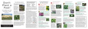 “Don't Plant a Pest: Central Coast” Brochure