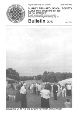 Bulletin 376 July 2004