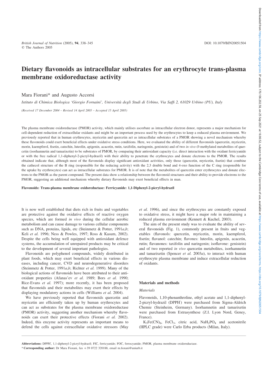 Dietary Flavonoids As Intracellular Substrates for an Erythrocyte Trans-Plasma Membrane Oxidoreductase Activity