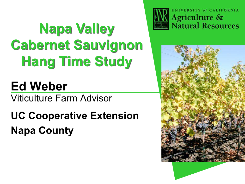 Napa Valley Cabernet Sauvignon Hang Time Study