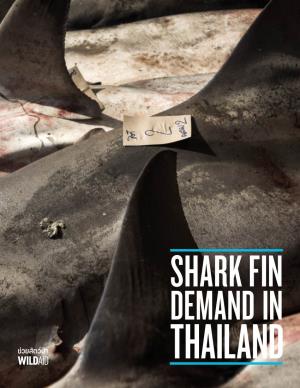 Shark Fin Demand in Thailand