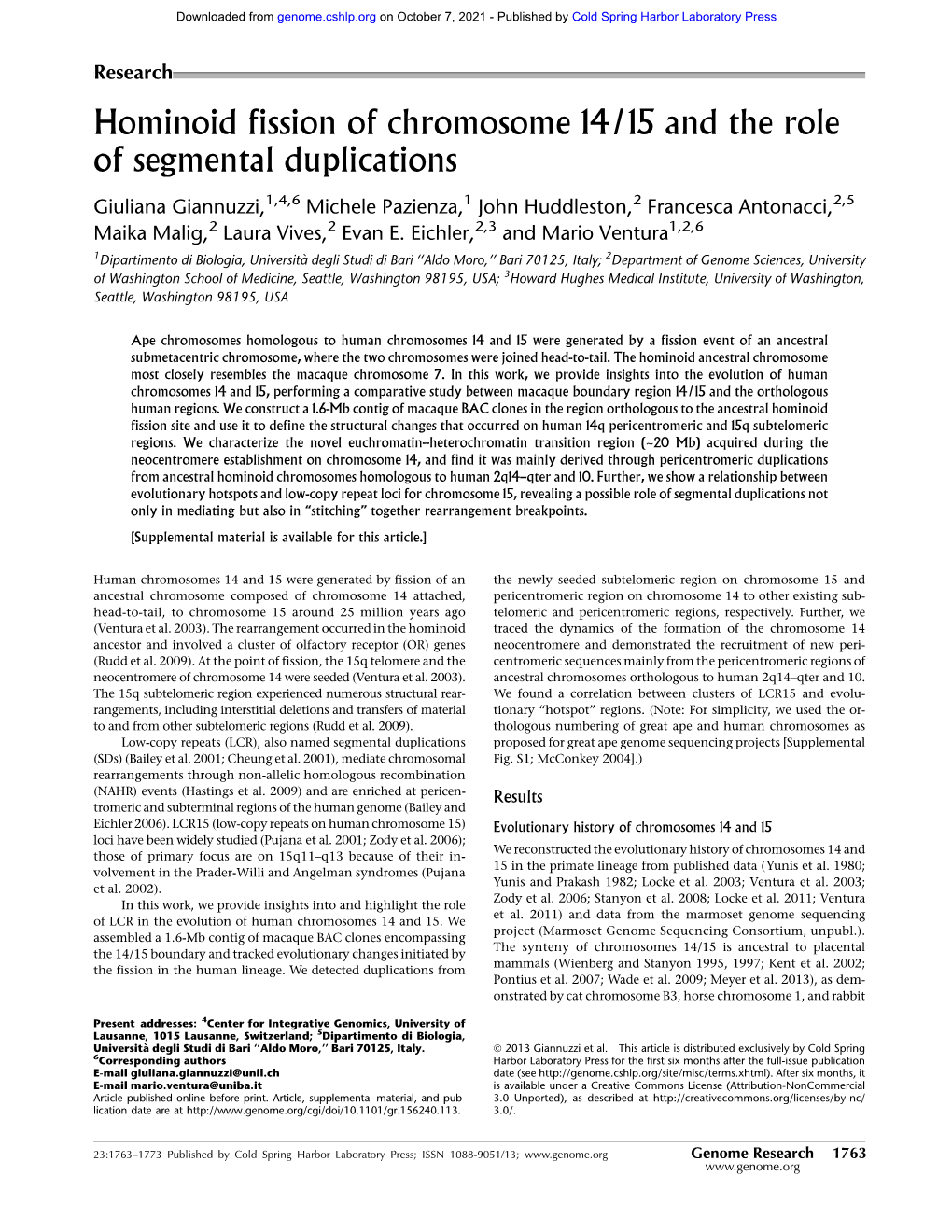 Hominoid Fission of Chromosome 14/15 and the Role of Segmental Duplications