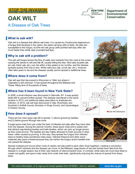 Oak Wilt Fact Sheet