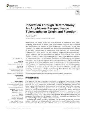 An Amphioxus Perspective on Telencephalon Origin and Function
