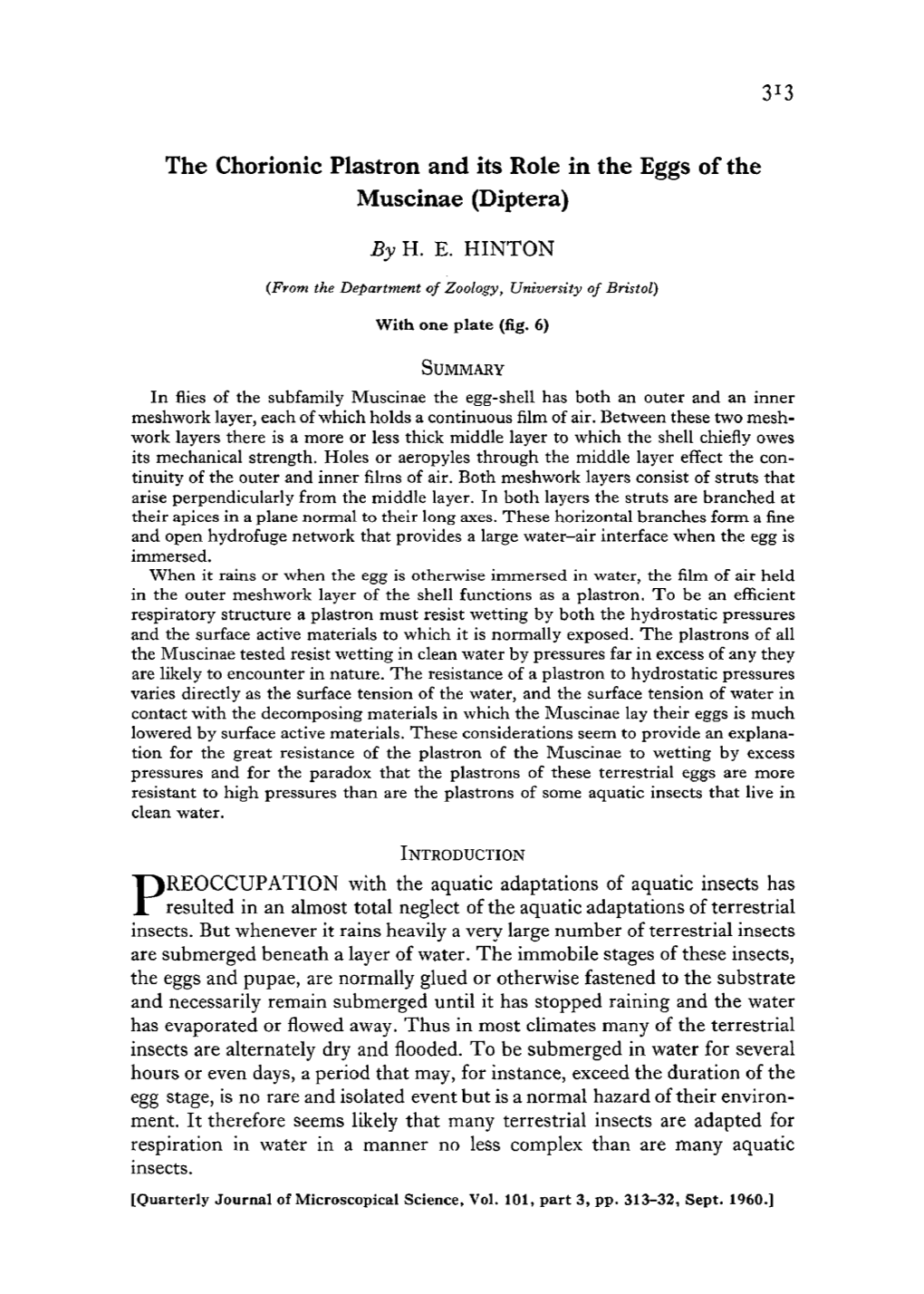 3J3 the Chorionic Plastron and Its Role in the Eggs of the Muscinae