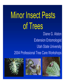 Minor Insect Pests of Trees Diane G