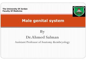 By Dr.Ahmed Salman Assistant Professor of Anatomy &Embryology Learning Objectives