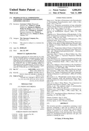 United States Patent (19) 11 Patent Number: 6,086,851 Boni Et Al