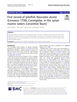 First Record of Pilotfish Naucrates Ductor (Linnaeus 1758), Carangidae, in the Syrian Marine Waters (Levantine Basin)