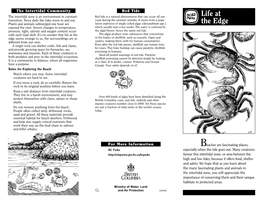 Life at the Edge Brochure.Pdf