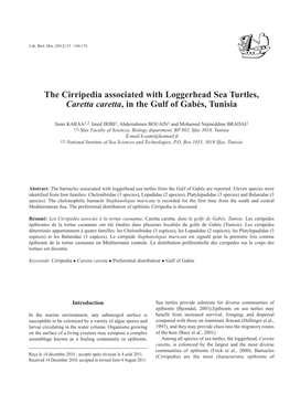 The Cirripedia Associated with Loggerhead Sea Turtles, Caretta Caretta, in the Gulf of Gabès, Tunisia