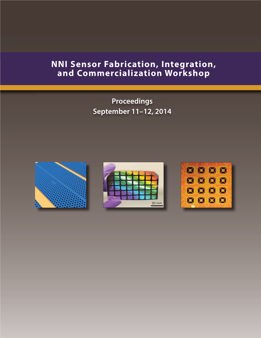 NNI Sensor Fabrication, Integration, and Commercialization Workshop