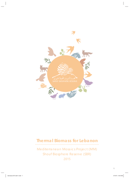 Thermal Biomass for Lebanon