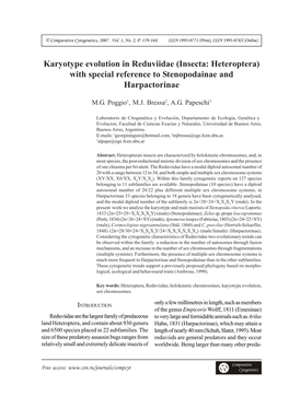 Karyotype Evolution in Reduviidae (Insecta: Heteroptera) with Special Reference to Stenopodainae and Harpactorinae