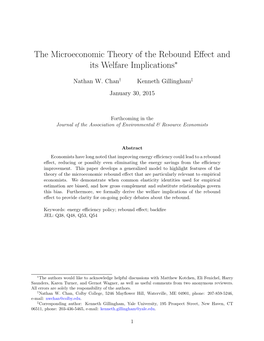 The Microeconomic Theory of the Rebound Effect and Its Welfare