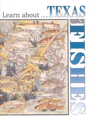 Learn About Texas Freshwater Fishes Activity Book