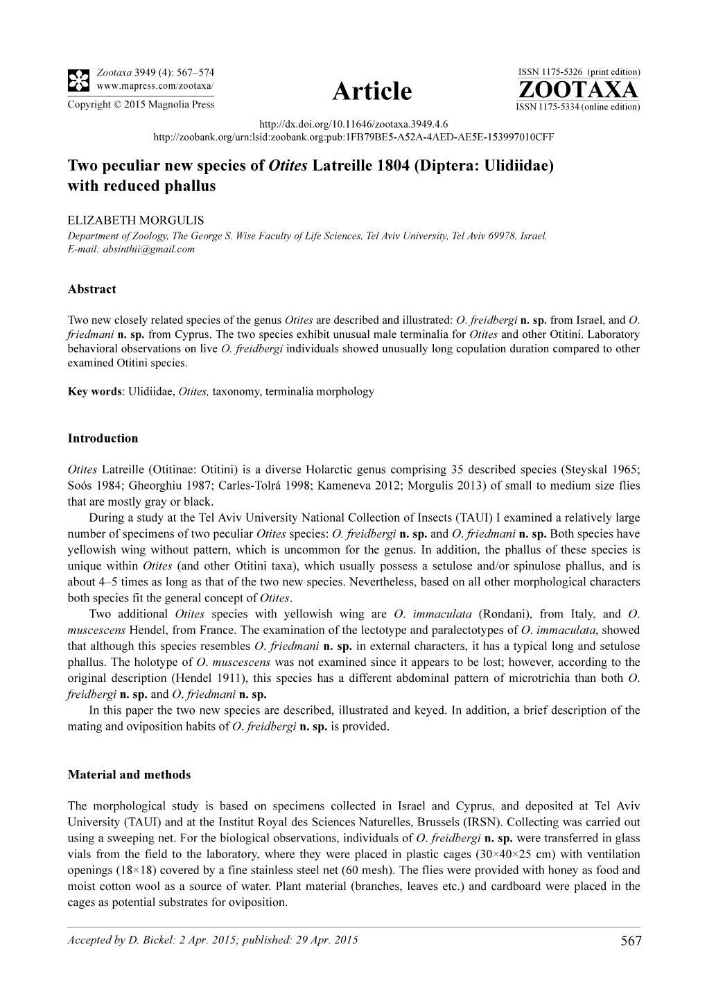 Two Peculiar New Species of Otites Latreille 1804 (Diptera: Ulidiidae) with Reduced Phallus