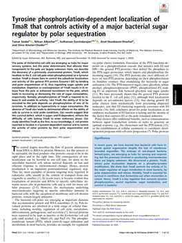 Tyrosine Phosphorylation-Dependent Localization of Tmar That Controls Activity of a Major Bacterial Sugar Regulator by Polar Sequestration