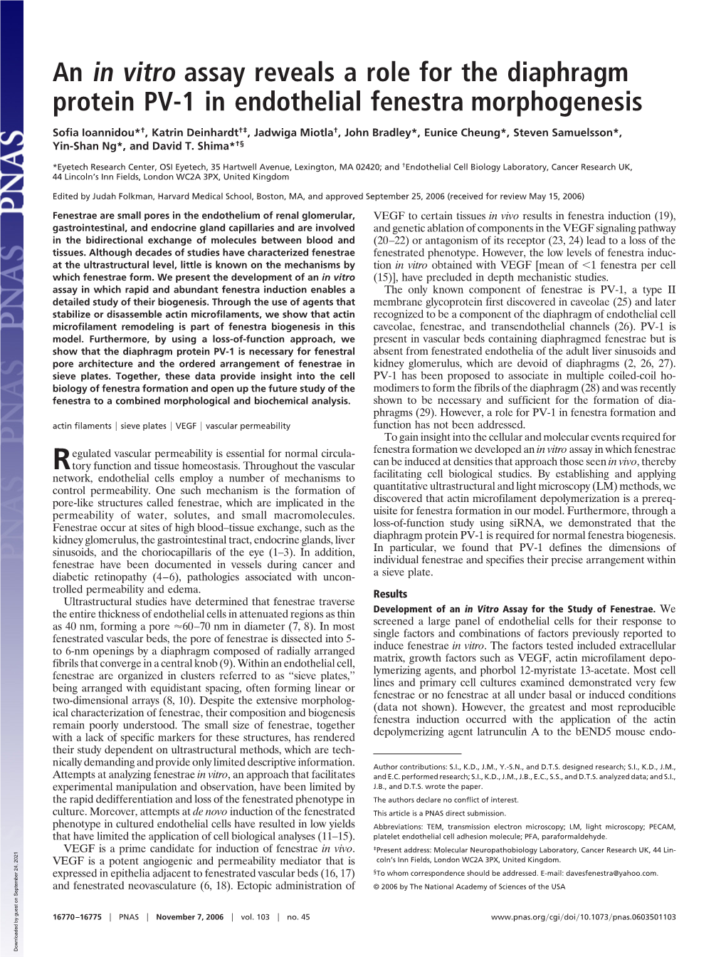 An in Vitro Assay Reveals a Role for the Diaphragm Protein PV-1 in Endothelial Fenestra Morphogenesis