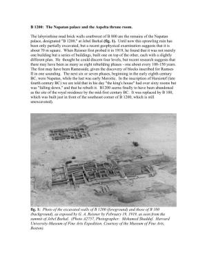 B 1200: the Napatan Palace and the Aspelta Throne Room. The