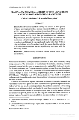 SEASONALITY in CAMBIAL ACTIVITY of FOUR LIANAS from a MEXICAN LOWLAND TROPICAL RAINFOREST Calixto Leon-Gomez1 & Arcadio Monr