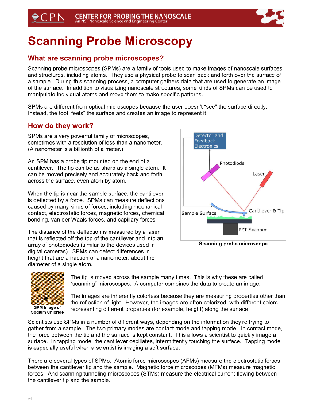 What Are Scanning Probe Microscopes?