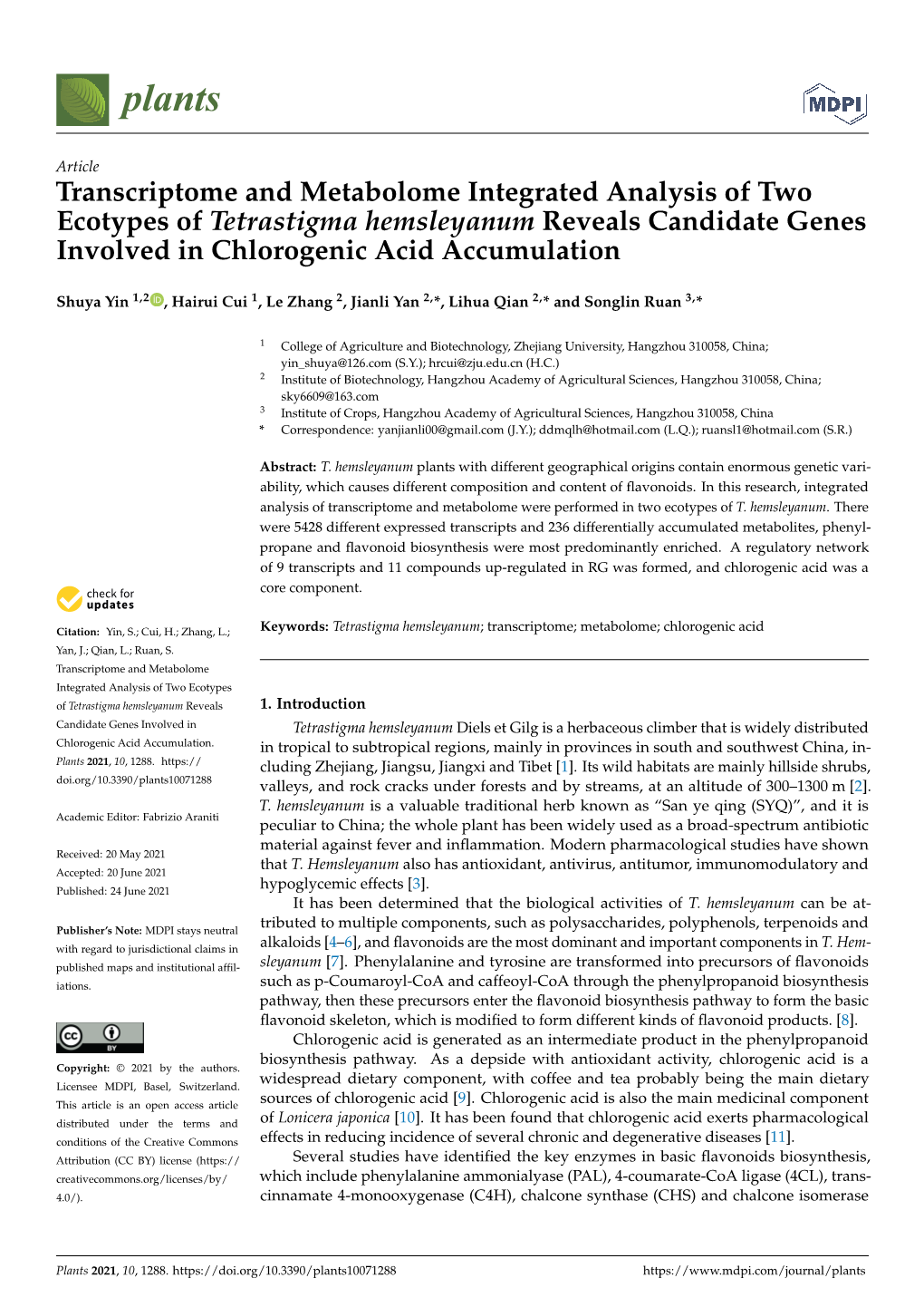 Transcriptome and Metabolome Integrated Analysis of Two Ecotypes of Tetrastigma Hemsleyanum Reveals Candidate Genes Involved in Chlorogenic Acid Accumulation