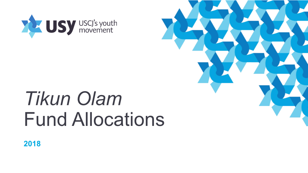 Tikun Olam Fund Allocations