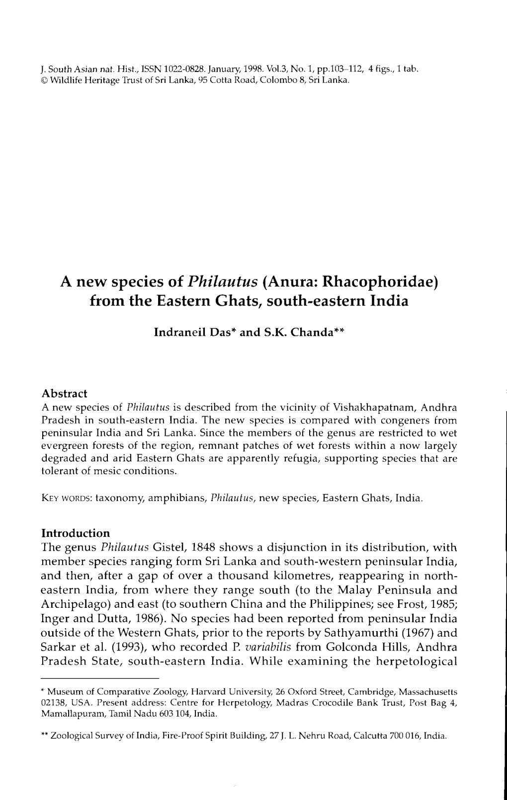 A New Species of Philautus (Anura: Rhacophoridae) from the Eastern Ghats, South-Eastern India