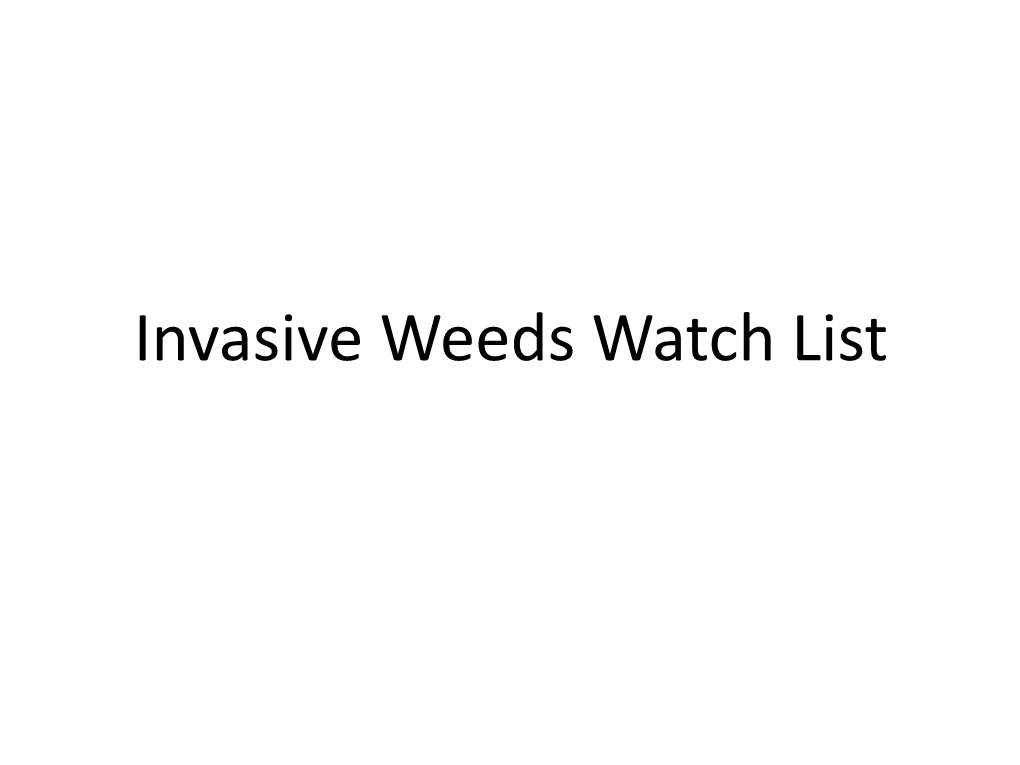 Invasive Weeds Watch List