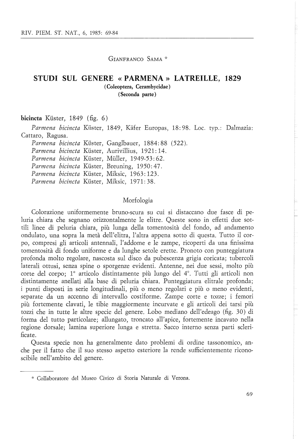 PARMENA» LATREILLE, 1829 (Coleoptera, Cerambycidae) (Seconda Parte) Bicincta Kiister, 1849 (Fig