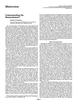 Minireview 0 1993 by the American Society for Biochemistry and Molecular Biology, Inc