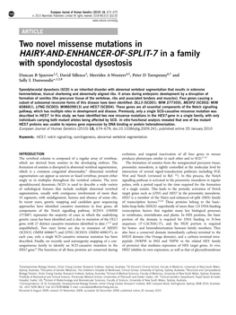 Two Novel Missense Mutations in HAIRY-AND-ENHANCER-OF-SPLIT-7 in a Family with Spondylocostal Dysostosis