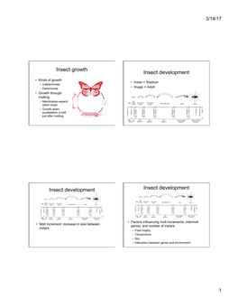 Insect Growth Insect Development