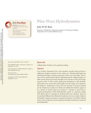 Pilot-Wave Hydrodynamics