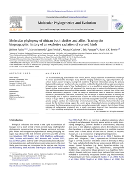 Molecular Phylogeny of African Bush-Shrikes